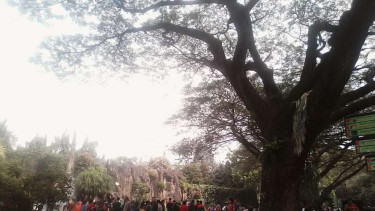 Berwisata ke Ragunan