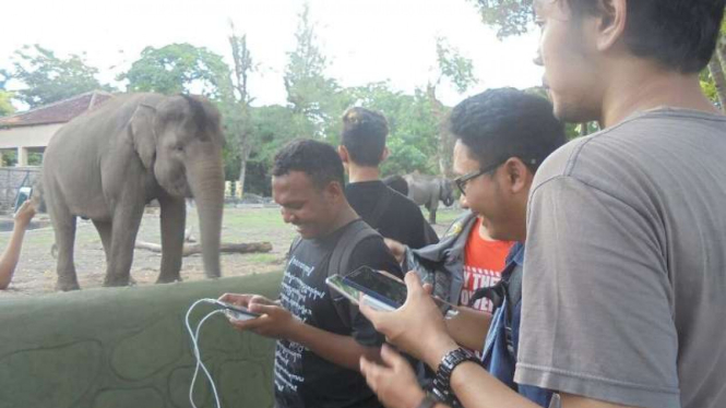 Berburu Pokemon di GL Zoo Yogyakarta