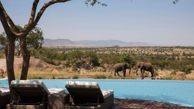 Four Seasons Safari Lodge Serengeti