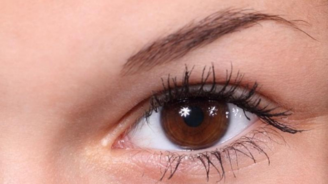 eyebrow