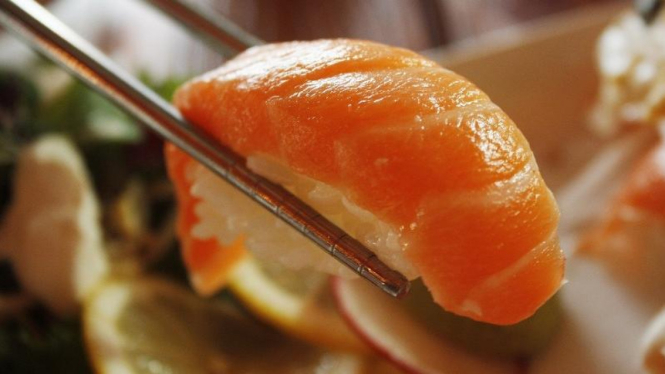 Ilustrasi Salmon