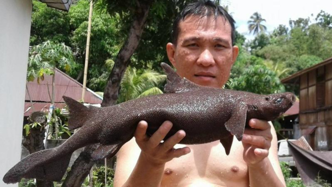  Jeffry Nggala, menunjukkan ikan unik yang ditemukannya.