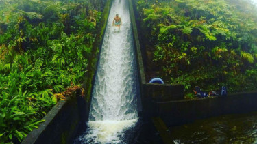 Seluncur air di Hawaii