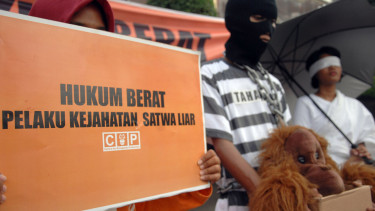  Aksi protes kejahatan satwa liar