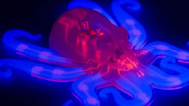 Octobot