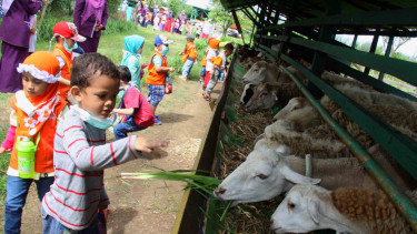 Pernak-pernik Menjelang Idul Adha