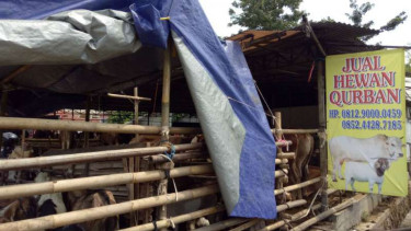 Lapak berjualan hewan kurban di Lenteng Agung, Jakarta Selatan.
