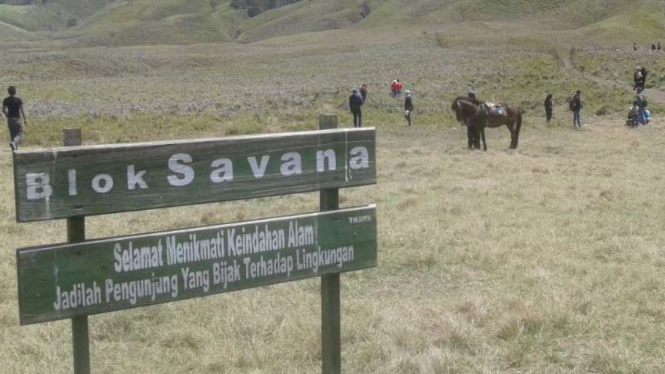 Padang Savana di Taman Nasional Bromo Tengger Semeru