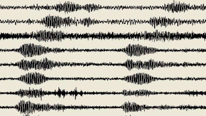 Ilustrasi/Grafik seismograf