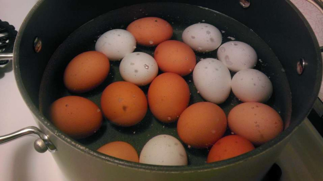 Telur Rebus