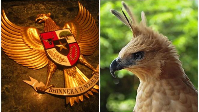 Elang Jawa simbol Garuda Pancasila.