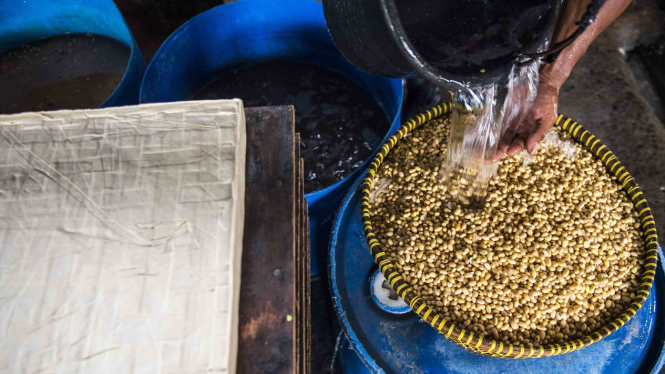 Kenaikan Harga Kedelai Impor