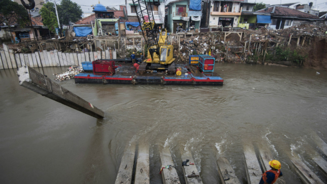 Ilustrasi paku bumi di proyek normalisasi Ciliwung.