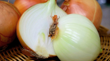 Bawang bombai.