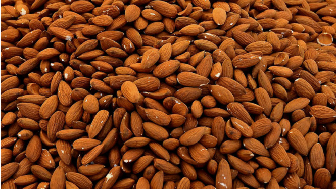 Ilustrasi kacang almond