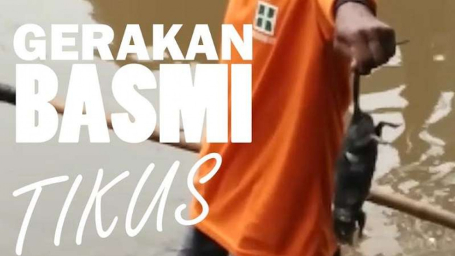 Gerakan Basmi Tkus (GBT)