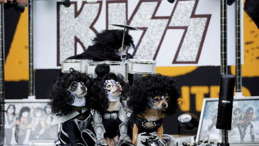 Anjing memakai kostum di parade Halloween