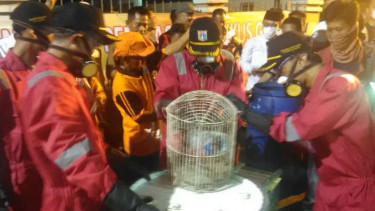 Petugas membasmi tikus dalam Gerakan Basmi Tikus (GBT)
