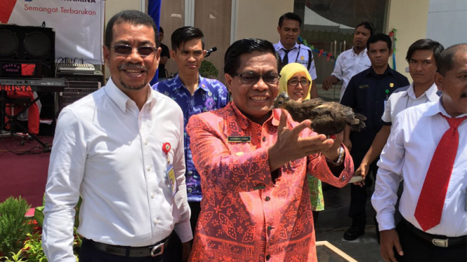 Lestarikan Satwa Langka, Pertamina Lepasliarkan 15 Ekor Maleo