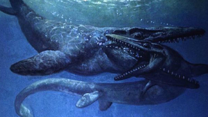 Ilustrasi mosasaurs bertarung