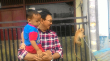 Calon Gubernur DKI Jakarta, Basuki Tjahaja Purnama