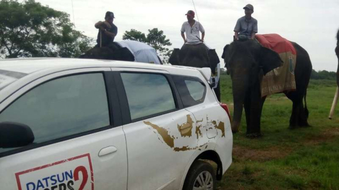 Datsun Risers Expedition mengunjungi Taman Nasional Way Kambas.