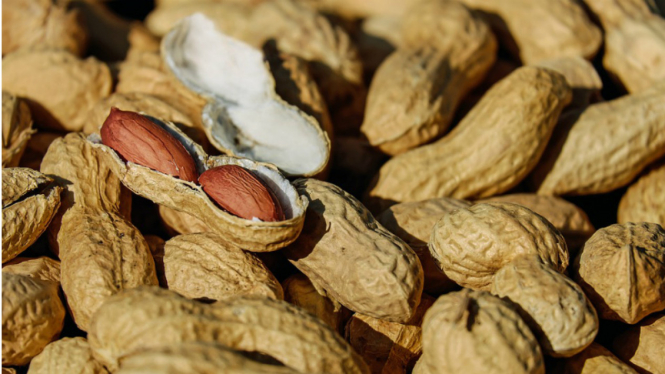 Kacang tanah.