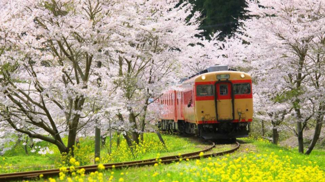 Jepang