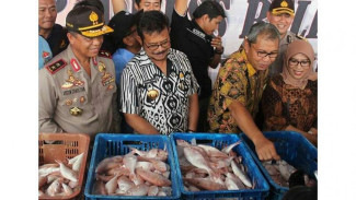 Tiga Ton Ikan Berpengawet Ditemukan di Makassar