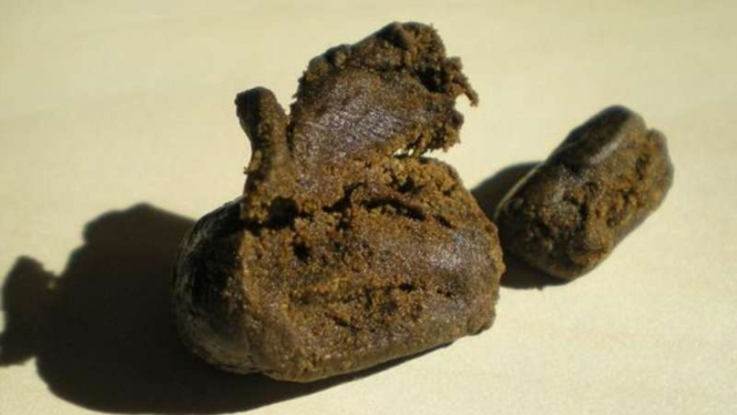 Hashish atau getah ganja