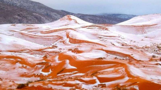 Salju turun di gurun Sahara.