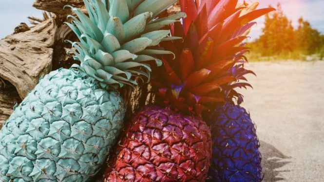 Ilustrasi Buah Nanas Warna-warni