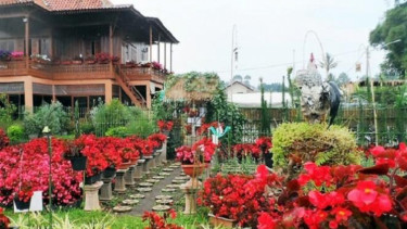 Taman Bunga Begonia, Bandung.