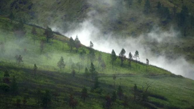 Taman Nasional Lorenz.