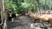 Photo Mini 1