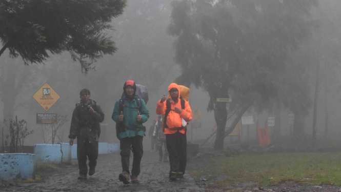 Ilustrasi/Pencarian pendaki gunung yang hilang