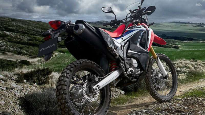 Honda CRF250 Rally.