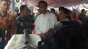 Presiden Joko Widodo meninjau potensi perikanan di Ambon, Maluku, pada Kamis, 9 Februari 2017.