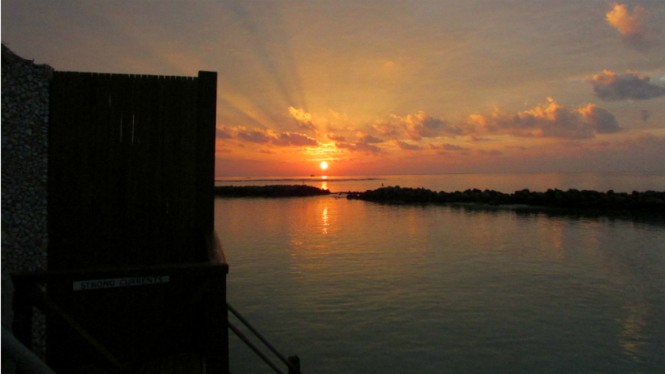 Ilustrasi sunset