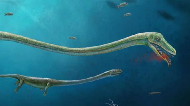 Dinocephalosaurus, reptil yang bisa melahirkan
