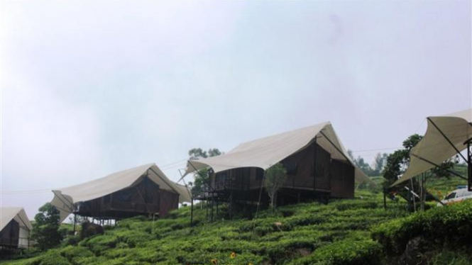 Glamping ILUSTRASI.