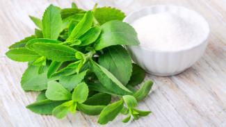 Stevia, Pengganti Gula yang Rendah Kalori