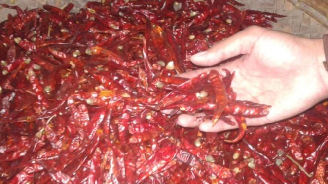Cabai merah kering