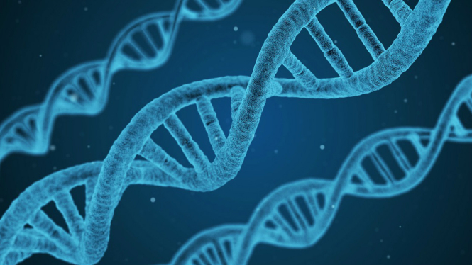 Ilustrasi DNA.