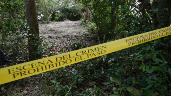 Lokasi kuburan massal di Veracruz State di Meksiko diberi garis kuning.