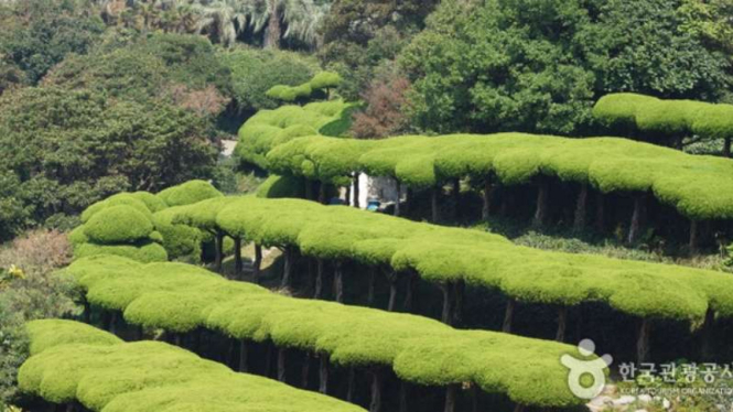 Geoje Oede Botania di provinsi Gyeongsangnam