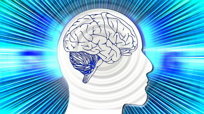 Ilustrasi otak.