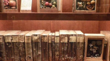 Perpustakaan Schildbach Xylotheque di Jerman