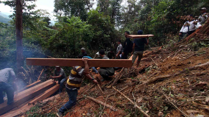 Illegal Logging Taman Nasional Gunung Leuser