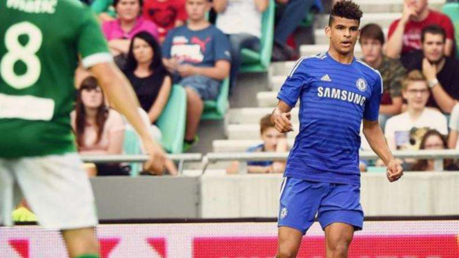 Penyerang Muda Chelsea, Dominic Solanke